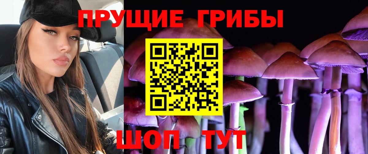 Псилоцибиновые грибы Magic Shrooms  Псилоцибиновые грибы мицелий  Серов  Вход с VPN 