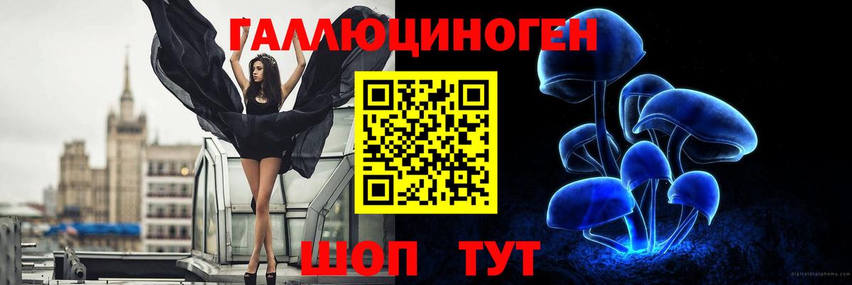 Псилоцибиновые грибы мицелий Серов